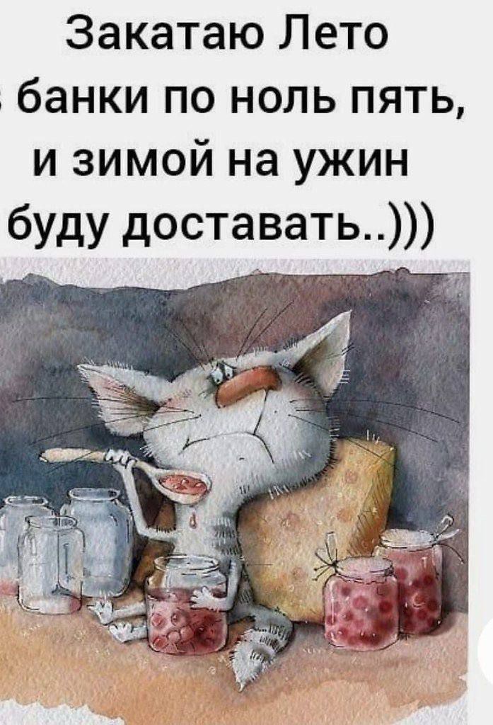 Закатаю Лето банки по ноль пять и зимой на ужин буду доставать