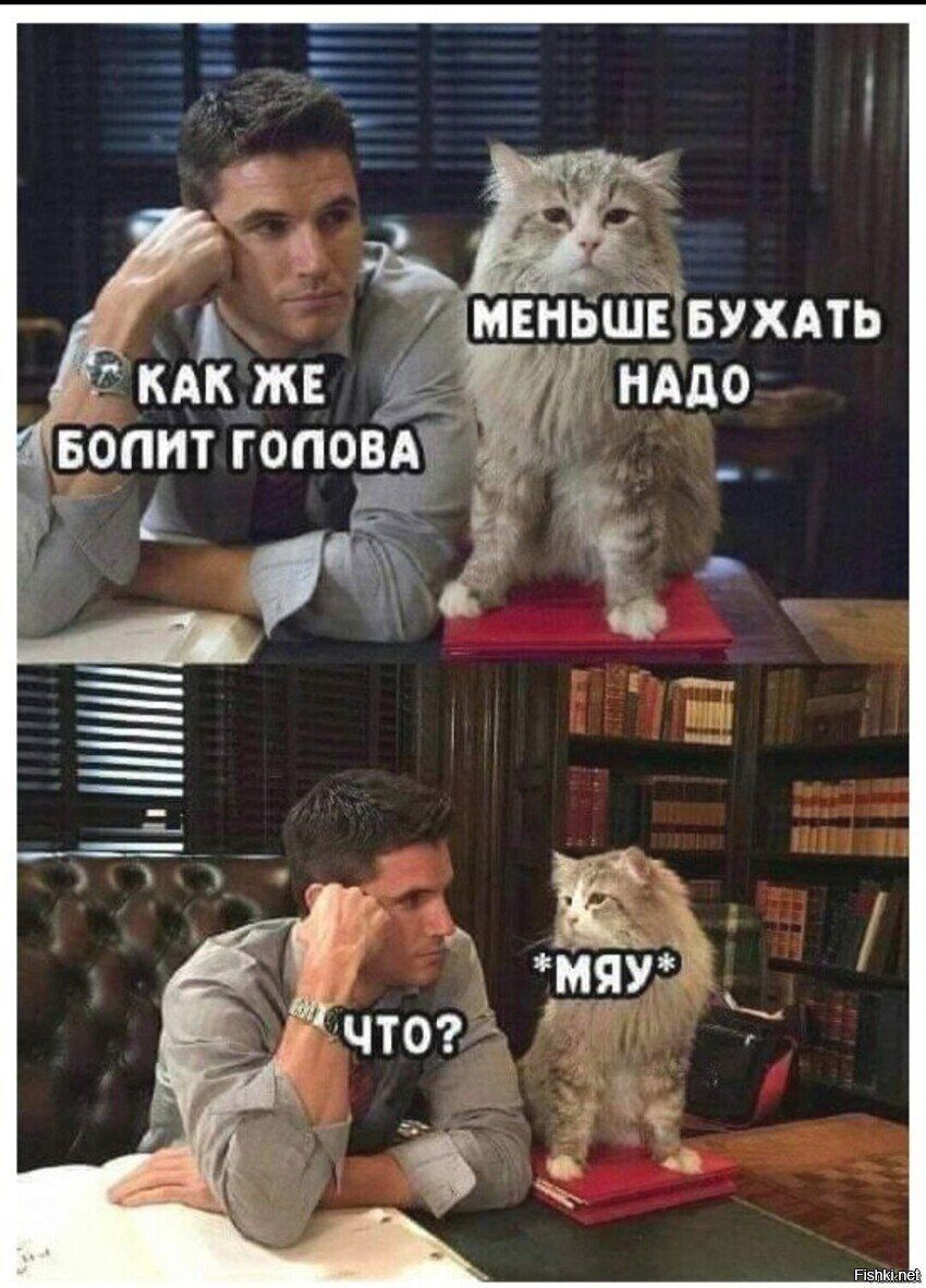 ді МЕНЬЩЕдБУХАТЬ АНАДО _ кдк ж опит гоповіЁ