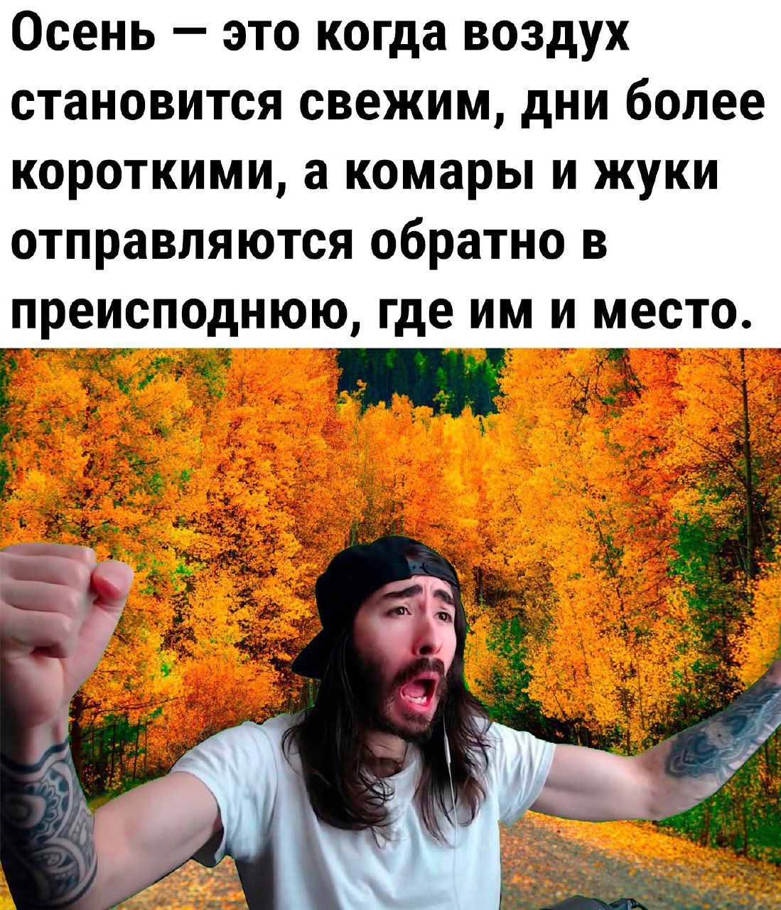 Осень это когда воздух становится свежим дни более короткими а комары и жуки отправляются обратно в преисподнюю где им и место