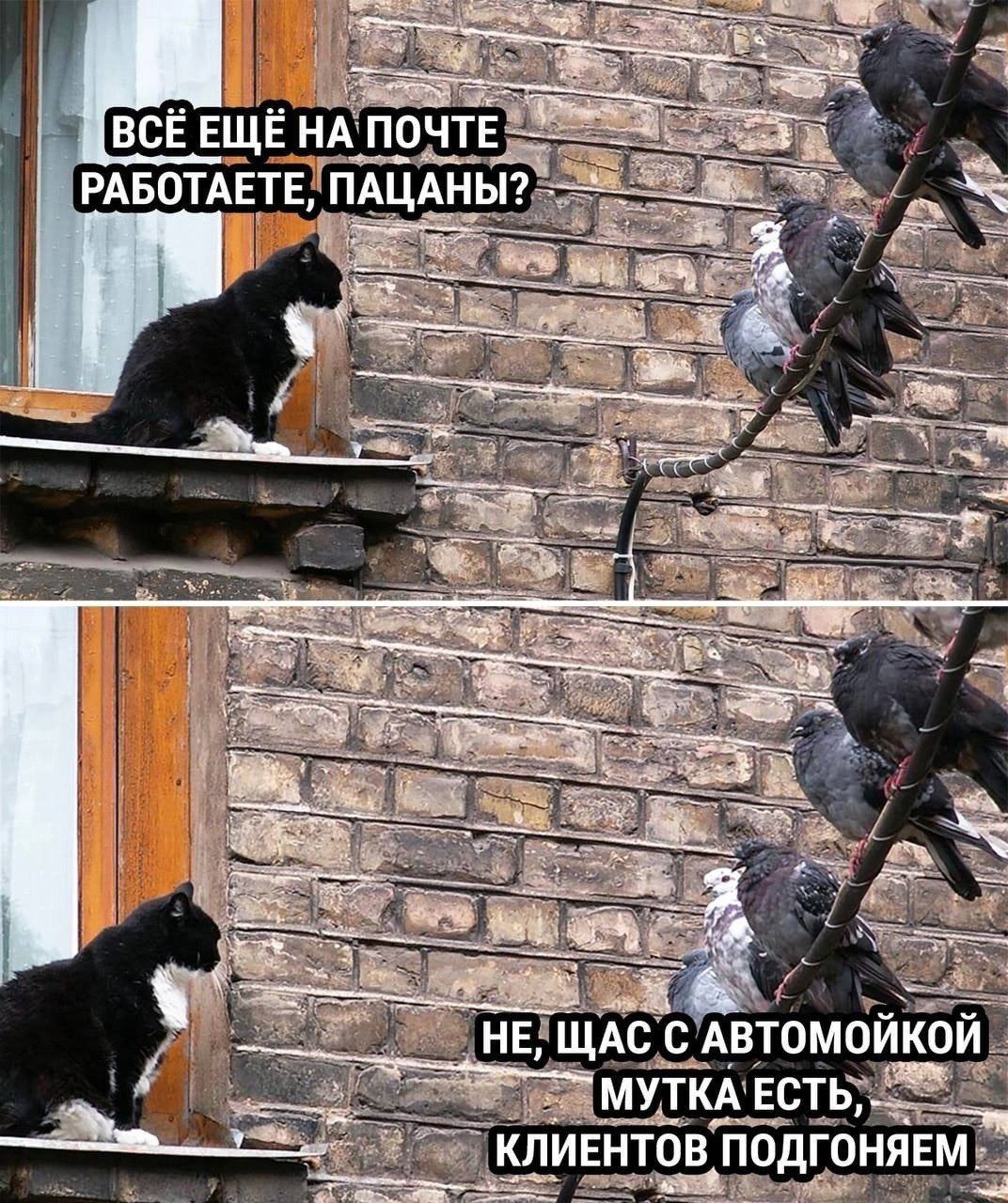щдфдтомійкои