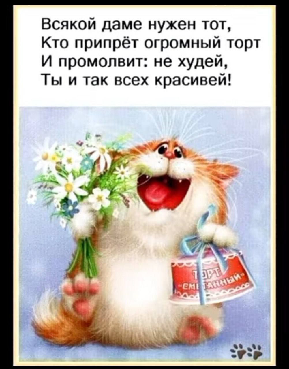 Всякой даме нужен тот Кто припрёт огромный торт И промолвит не худей Ты и так всех красивей