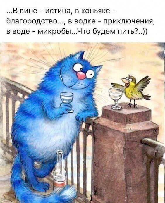 В вине истина в коньяке бпагородство в водке приключения в воде микробыЧто будем пить__