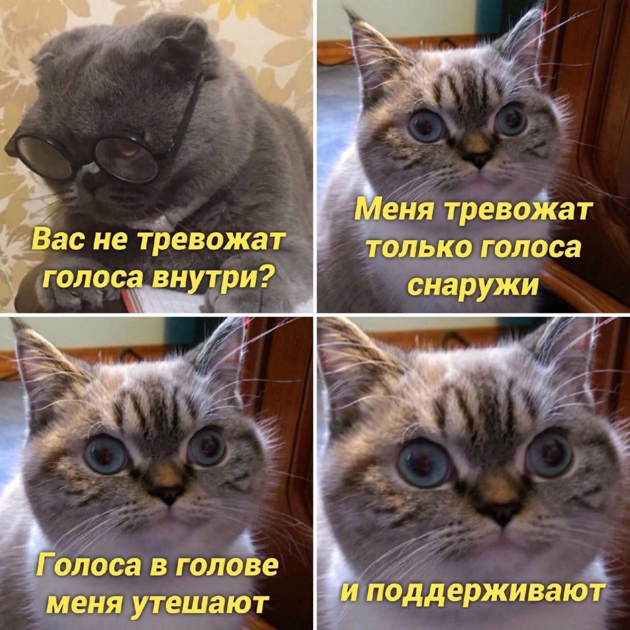 мько голоса снарЁіжи ц поддерживаюё т ЕНЯЩТЕШЗЮТ