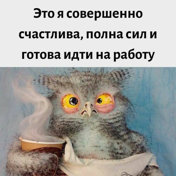 Это я совершенно счастлива полна сил и готова идти на работу