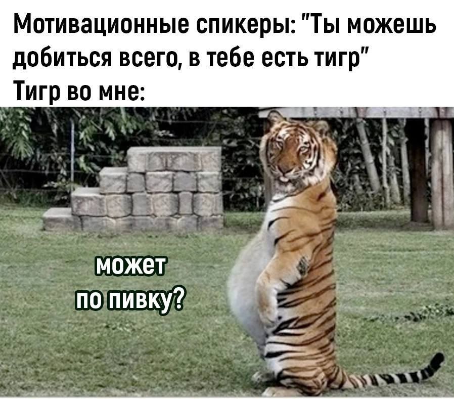 Мотивационные спикеры Ты можешь добиться всего в тебе есть тигр Тигр во мне может попцвку