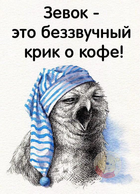 Зевок это беззвучный крик о кофе