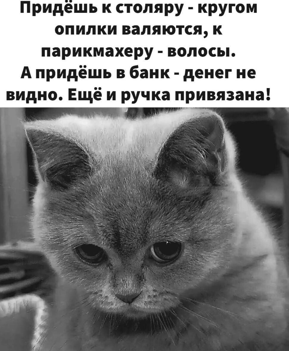 Придешь к стопяру кругом опилки валяются к парикмахеру волосы А придёшь в банк денег не видно Ещё и ручка привязана
