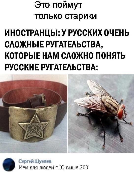 Это поймут только старики ИНОСТРАНЦЫ У РУССКИХ ОЧЕНЬ САОЖН ЫЕ РУГАТЕАЬСТВА КОТОРЫЕ НАМ САОЖНО ПОНЯТЬ РУССКИЕ РУГАТЕАЬСТВА ммм Мем для людей с Ю выше 200
