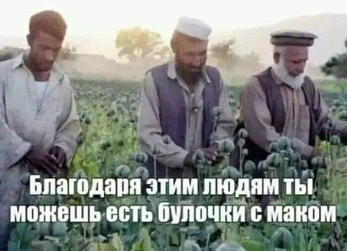 Бпаюдаіпі этим интим и мпжвшьесть бшочии маком _