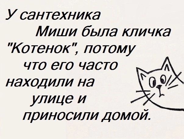 У сантехника Миши была кличка Котенокі потому что его часто находили на 0104 улице и ПДИНОСИЛИ ДОМОЙ