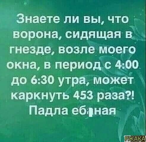 Знаете ли вы что_ ворона сидящая в гнезде возле моегс окна в период с 400 да 6 30 утра может каркнуть 453 раза Падла ебэрная а РЕЖАкЗ