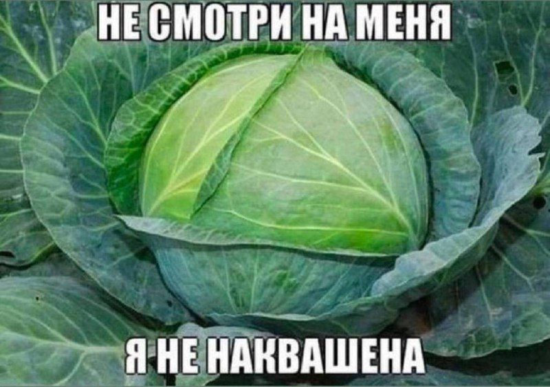 дінЁЁКЫшвндл