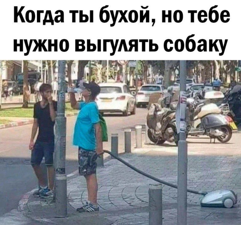 Когда ты бухой но тебе нужно ВЫГУАЯТЬ собаку _ 4 ді