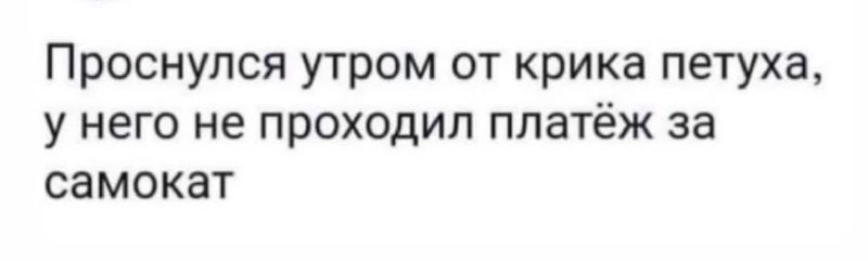 Проснулся утром от крика петуха у него не проходил платёж за самокат