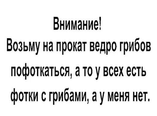 Внимание Возьму на прокат ведро грибов пофоткаться а то у всех есть фотки с грибами а у меня нет