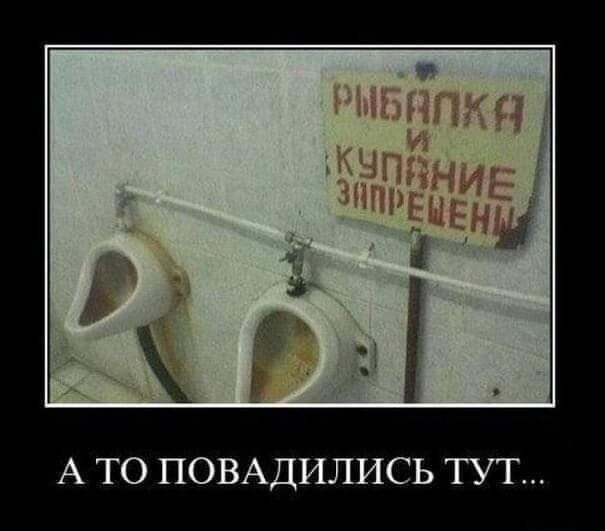 А ТО ПОВАДИЛИСЬ ТУТ