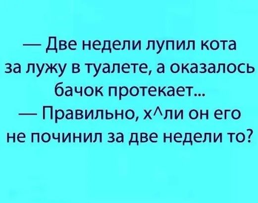 Две недели лупип кота за лужу в туалете а оказалось бачок протекает Правильно хли он его не починил за две недели то