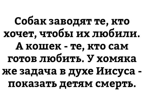 Собак заводят те кто хочет чтобы их любили А кошек те кто сам готов любить У хомяка же задача в духе Иисуса показать детям смерть