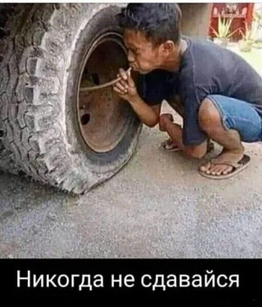Никогда не сдавайся