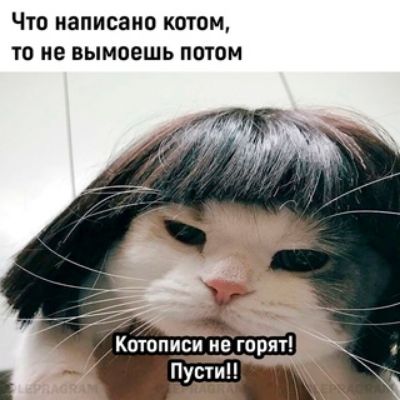 ЧТО написано КОТОМ ТО не ВЫМОЕШЬ ПОТОМ