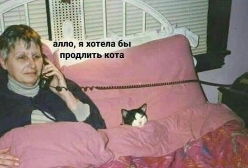 вино и хотела бы продлить кпп