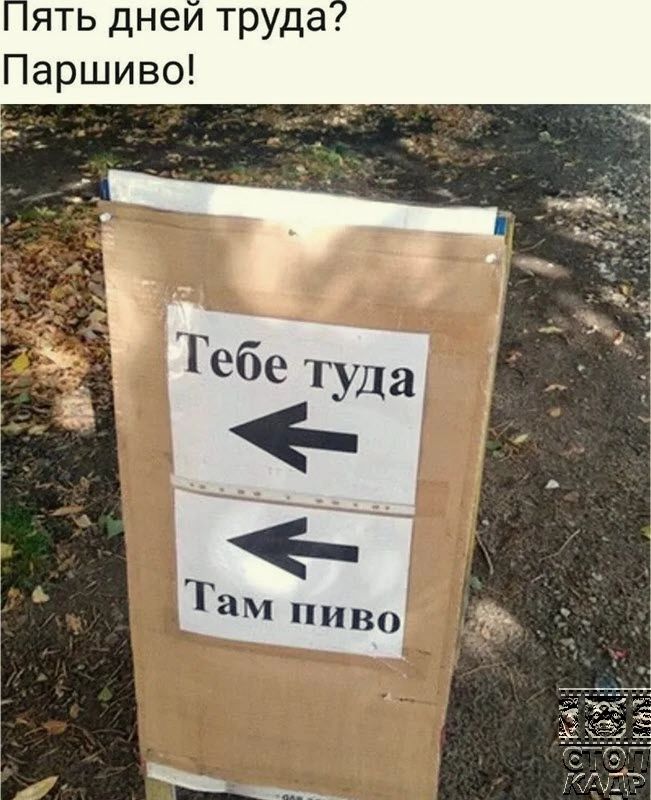 ять днеи труда Паршиво