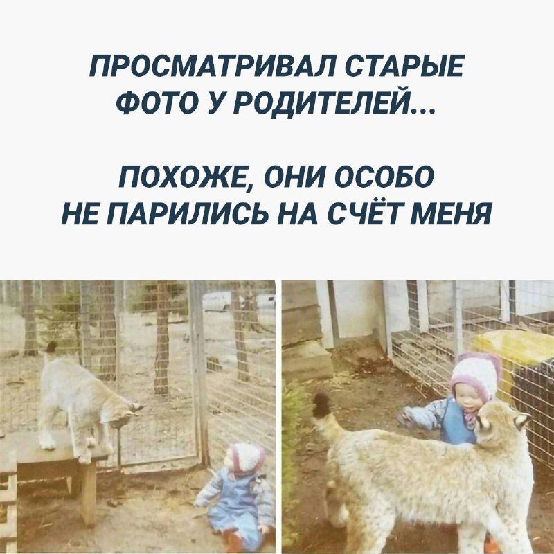 ПРОСМАТРИВАЛ СТАРЫЕ ФОТО У РОДИТЕЛЕЙ ПОХОЖЕ ОНИ ОСОБО НЕ ПАРИЛИСЬ НА СЧЁТ МЕНЯ