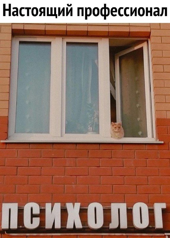Настоящий профессионал