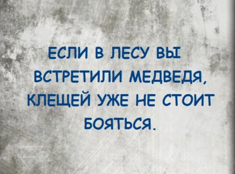 Если в лЕсу вы 1 _ встретили медведя тещви уже НЕ стоит 55 Бояться 3 к