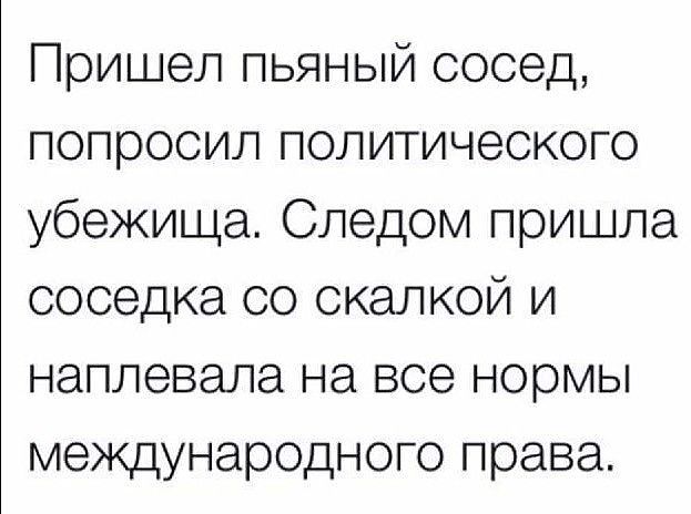 Пришел пьяный сосед попросил политического убежища Следом пришла соседка со скалкой и наплевала на все нормы международного права