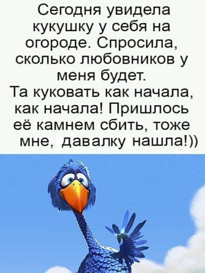 Сегодня увидела кукушку у себя на огороде Спросила сколько любовников у меня будет Та куковать как начала как начала Пришлось её камнем сбить тоже мне давалку нашла