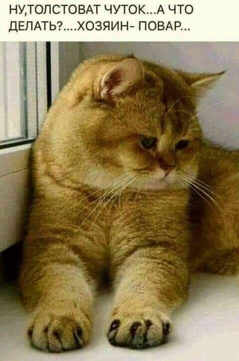 НУТОПСТОВАТ ЧУТОКА ЧТО