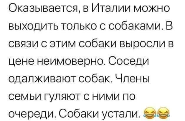 Оказывается в Италии можно выходить только с собаками В связи с этим собаки выросли в цене неимоверно Соседи одалживают собак Члены семьи гуляют с ними по очереди Собаки устали