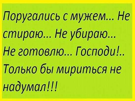 Поругапись мужем Не стираю Не убираю Не готовлю Господи Тольна бы мириться не подумал