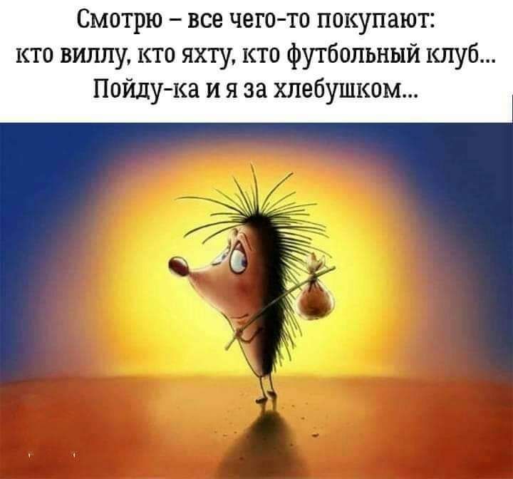 Смотрю все чегото покупают кто виллу кто яхту кто футбольный клуб Пойдука и я за хлебушком