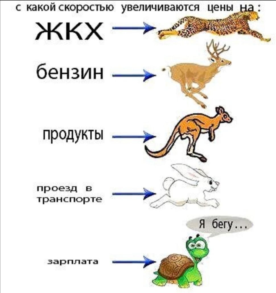 С какой СКОРОСТЬЮ увеличиваются цены ЖКХ бензин _ продукты _ЁЖ проезд в Ёаг транспорте и у я бегу зарплата _