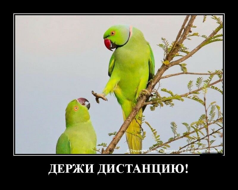 Ю И Ц и Т С И Д И Ж Р Е д