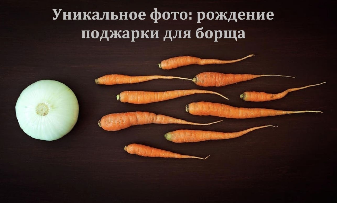Уникальное фото рождение поджарки для борща