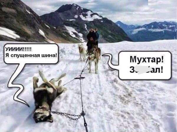 УИИИИЦШ Я спущенная шина