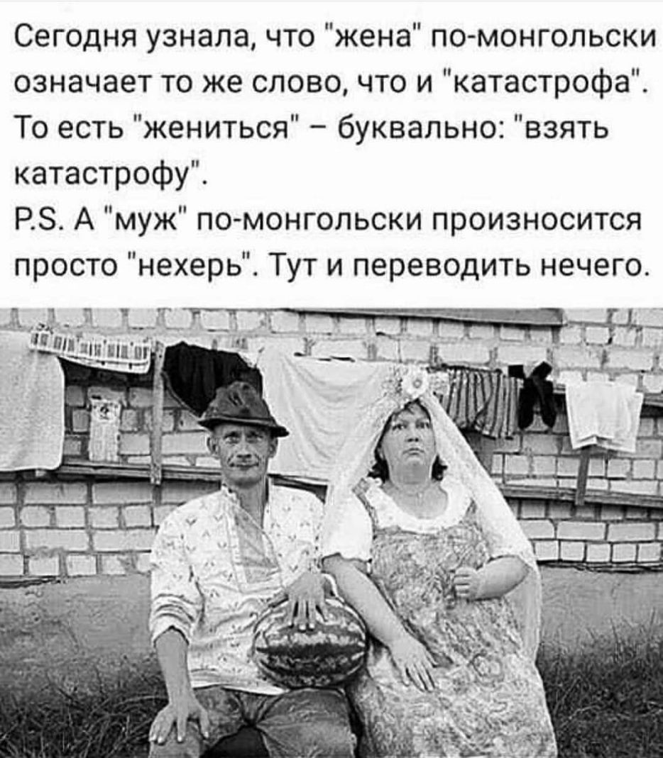 Сегодня узнала что жена помонгольски означает то же слово что и катастрофа То есть жениться буквально взять катастрофу РЗ А муж по монгольски произносится просто нехерь Тут и переводить нечего