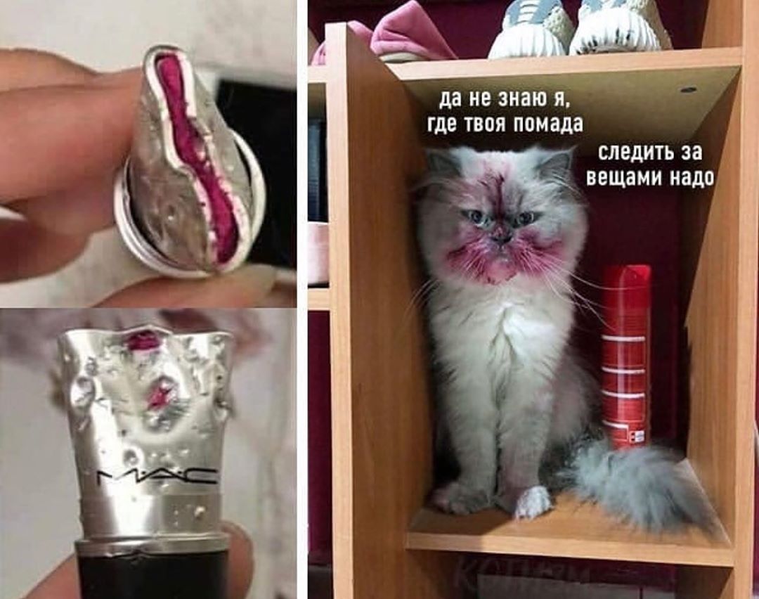 да не знаю Я ГДЕ ТВОЯ помада СЛЕдИТЬ за ВЕЩЗМИ надо
