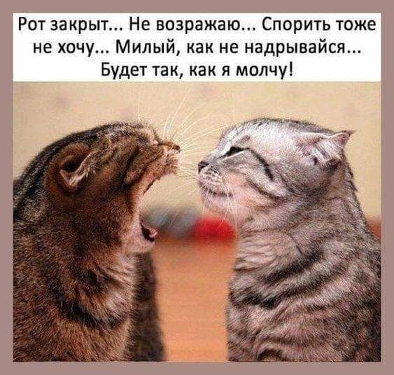 Ротйзакрыт Ёе возражЁю СгйтбритТэтйоже не хочу Милый как не надрывайся Будет так как я молчу