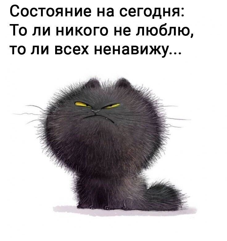Состояние на сегодня То ли никого не люблю то ли всех ненавижу