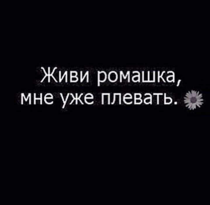 Живи ромашка мне уже плевать