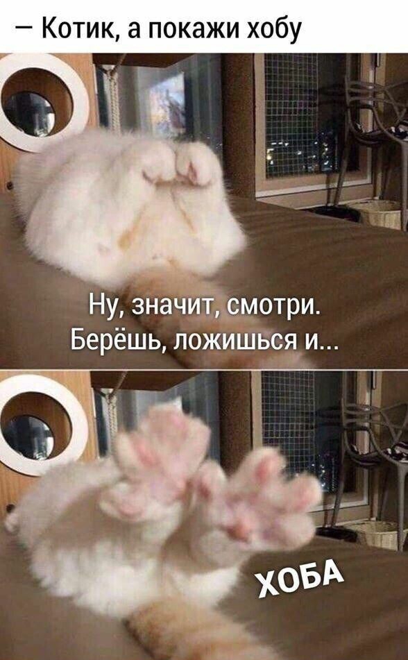 Котик а покажи хобу Ну значиЁгТдсмотри Берёшь ложишвсд и