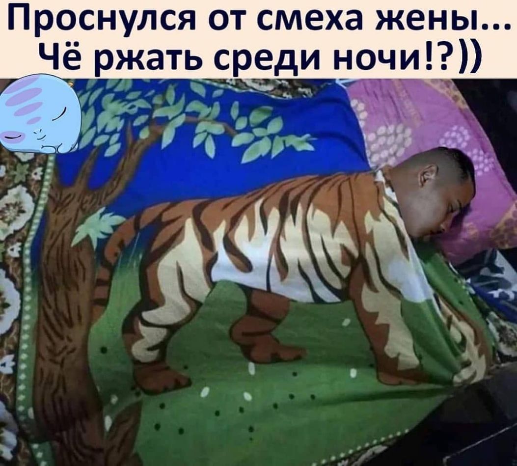 Прс__снулся от смеха жены