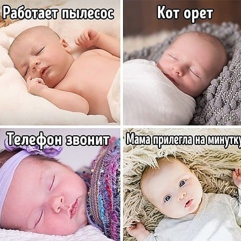 Кот орет н _