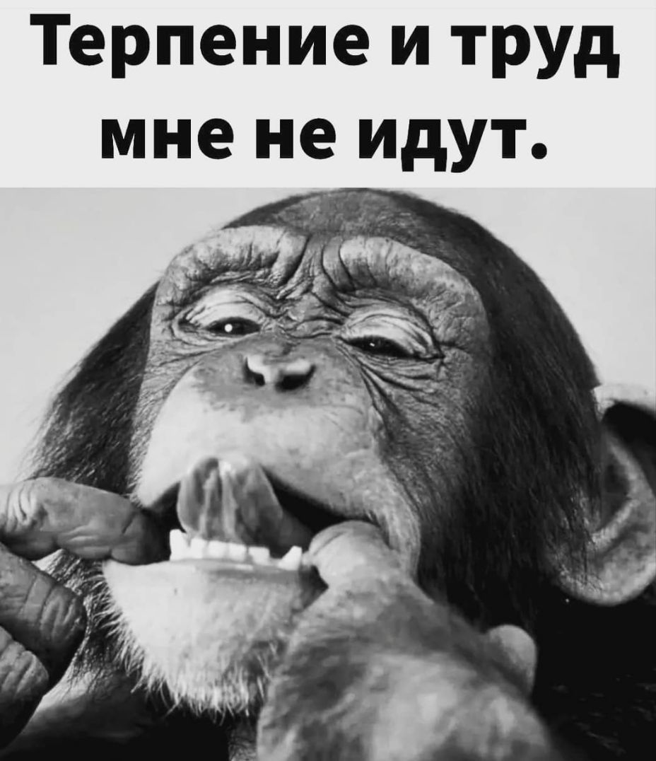 Терпение и труд мне не идут