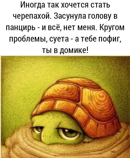 Иногда так хочется стать черепахой Засунула голову в панцирь и всё нет меня Кругом проблемы суета а тебе пофиг ты в домике