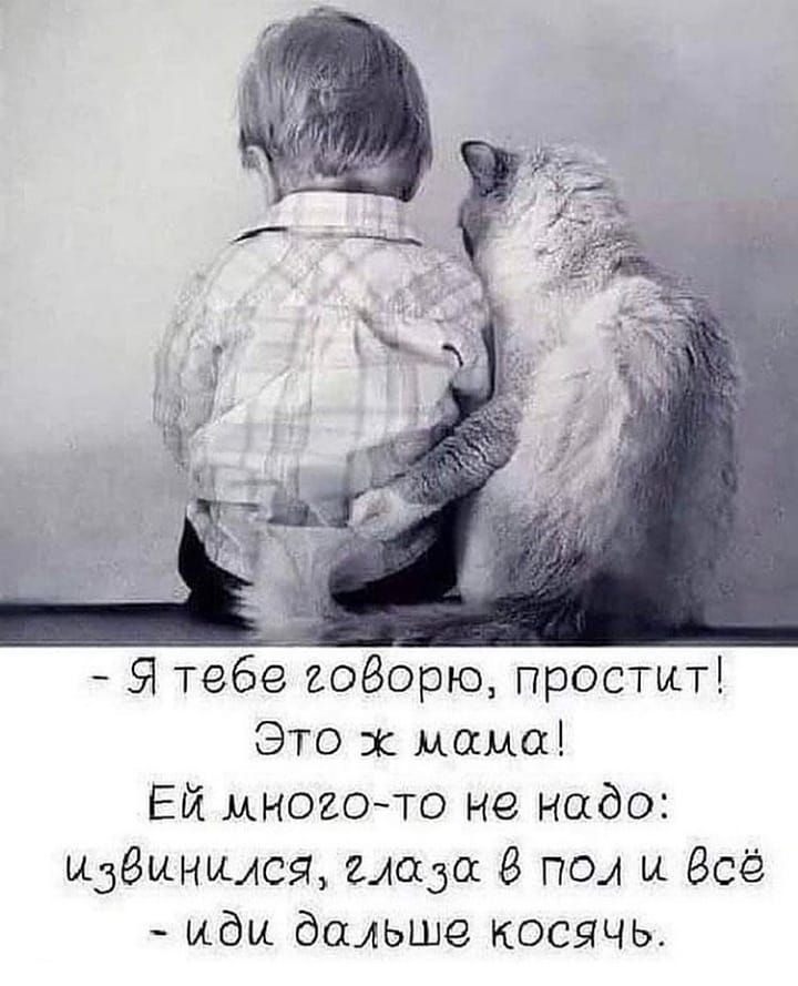 Я тебе аоВорю простит Это 1 мама Ей многото не надо мдзынщся надо в пол и Всё иди дальше косячь